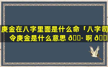 庚金在八字里面是什么命「八字司令庚金是什么意思 🌷 啊 🐘 」
